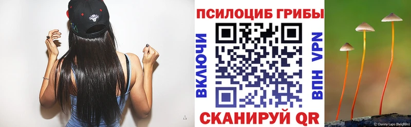 Псилоцибиновые грибы мухоморы  Купить где  Вологда 